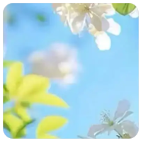 赏帮赚
