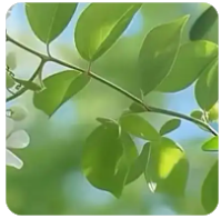 手游赚