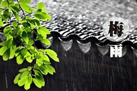 梅雨季节是什么时间(托哥告诉你南方的梅雨季节)
