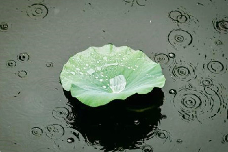 吾心归处是吾乡