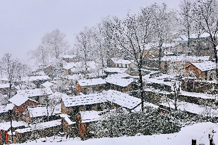 想念一场雪