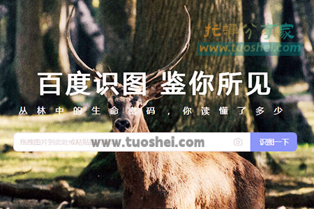 百度识图是什么意思